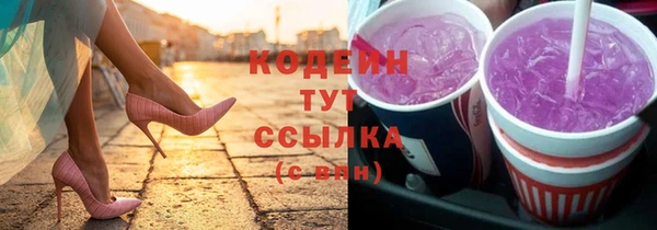 индика Кодинск