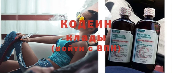 прущие крисы Киренск
