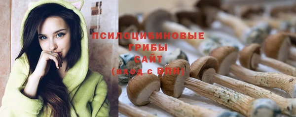 прущие крисы Киренск
